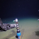 A sediment coring device at work on the seafloor.